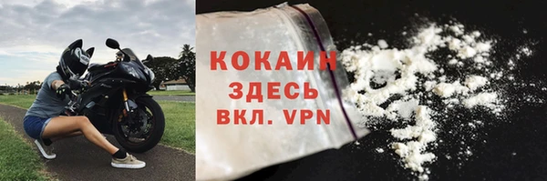 стафф Коряжма