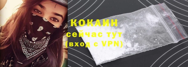 стафф Коряжма
