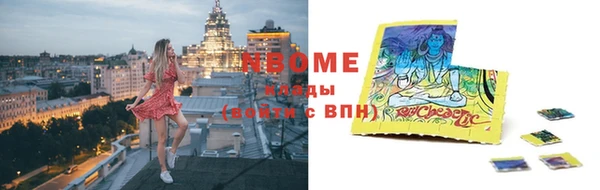 стафф Коряжма
