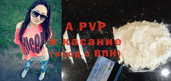 стафф Коряжма
