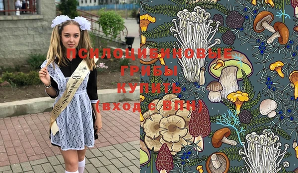 стафф Коряжма