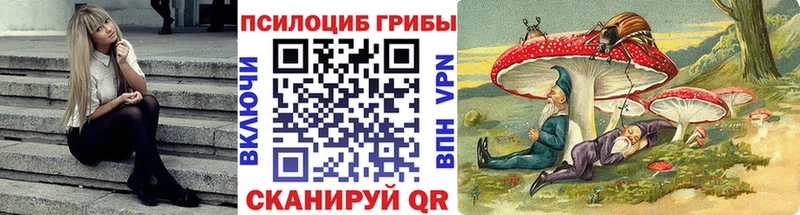 Купить закладки  Ворсма  Галлюциногенные грибы Cubensis 